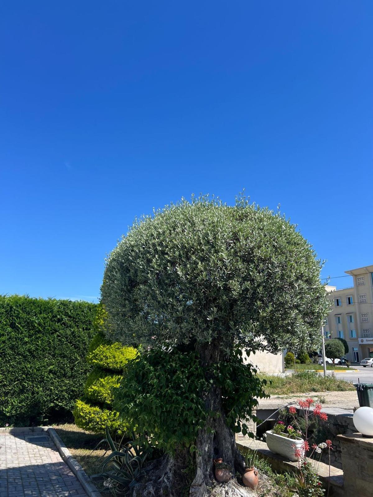 Hotel Kaceli بيرات المظهر الخارجي الصورة
