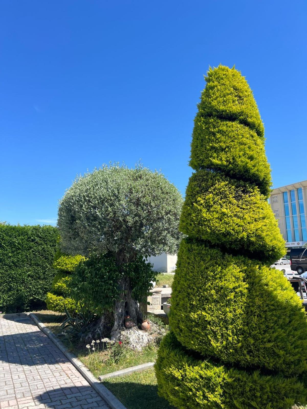 Hotel Kaceli بيرات المظهر الخارجي الصورة
